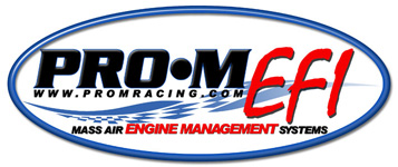 Pro-M EFI Logo